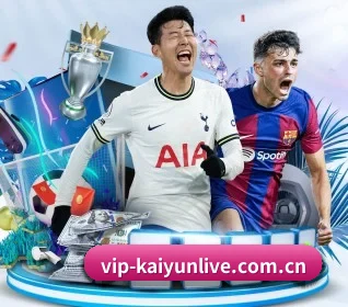 vip-kaiyunlive.com.cn APP